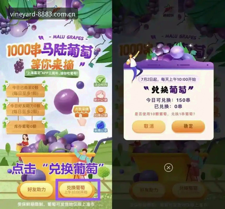 揭秘中国葡萄游戏平台功能详解：从安装到支付的全链路解析