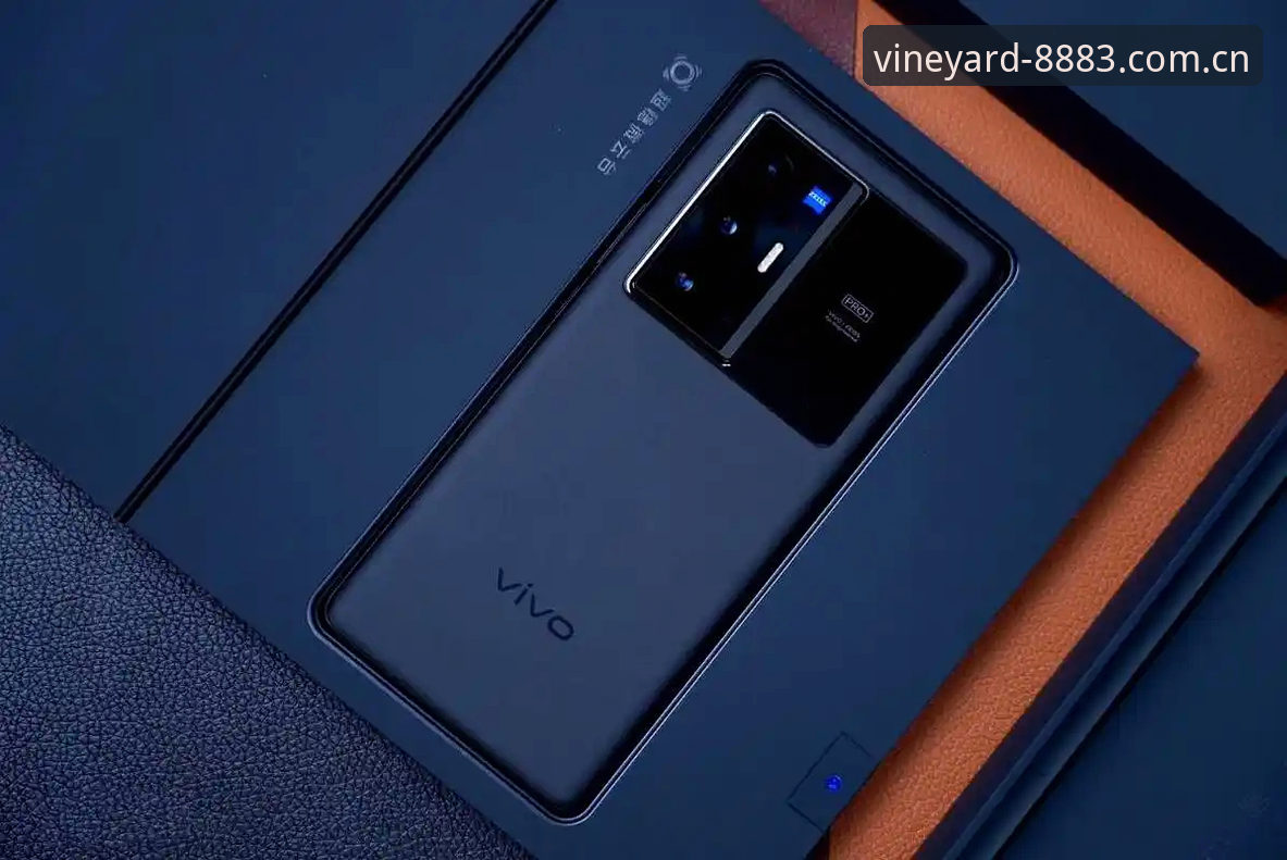 老版与新版新葡萄8883APP对比：安卓版更新V2.1.0带来哪些颠覆性突破？