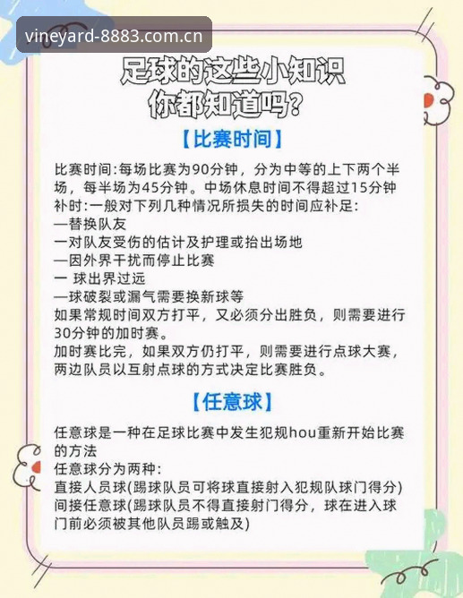 通过新葡萄体育平台解读埃梅里欧联杯决赛胜利的操作教程